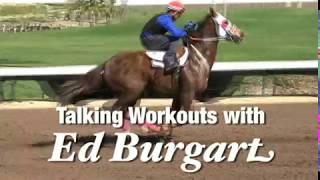 Talking Quarter Horse gate works with Los Alamitos' Ed Burgart