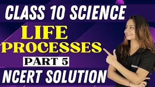 LIFE PROCESSES || NCERT SOLUTION || PART 5 || CLASS 10 || SCIENCE || KRUSHI MA'AM EDUHAP