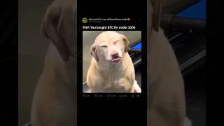 Follow  @WenLamboTV #funny #animals #humor #crypto #memes #btc