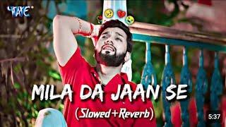 Mila Da Jaan Se | Neelkamal Singh New Sad Song  | Slowed + Reverb | Lofimusic 380 |