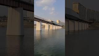 폐철교에서 인도교로 변신한 아양기찻길(아양철교) #금호강교량 #금호강야경