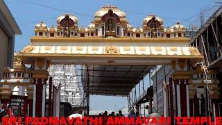 Padmavathi Ammavari Temple Tirupati || Sri Padmavathi Ammavari Temple Tiruchanoor  || Tirupati