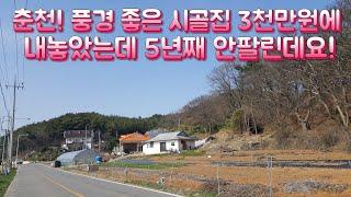 춘천! 시골집(땅포함 100평)을 3천만원에 내놓았는데 5년째 안팔린데요! 옛날집 오지마을 부동산 여행 한옥 골동품 빈집 귀농 귀촌