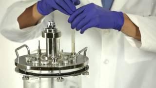 BioFlo® 310 Setup