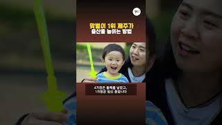 맞벌이 1위 제주가 출산율 높이는 방법