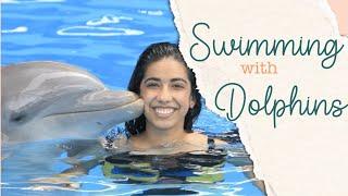 What It's Like to Swim With Dolphins - First Time in the Dominican Republic