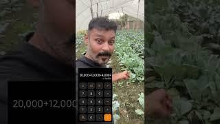 Agr broccoli ki kheti barsato me ki jaye to sardiyo ke mukable 5 x se bhi jayada rate milta hai