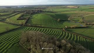 Ridge and furrow, Churchover. Warwickshire (Short)