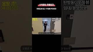 부동산 수익형  부동산  탄방동 더 포레뷰 세종 몽땅부동산 공인중개사