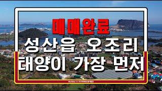 매매완료 【제주도에서 태양이 가장 먼저 비추는 마을 오조리】그렇게 나를 비추어 보자. 서귀포시 성산읍 오조리 제1종일반주거지역