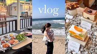 vlog 설탕이랑 양양 여행️ㅣ양양애견동반펜션, 하조스테이, 양양 싱글핀 에일웍스, 강릉장칼국수, 오프더월, 24프레임 초당옥수수라떼, 최씨네장칼국수