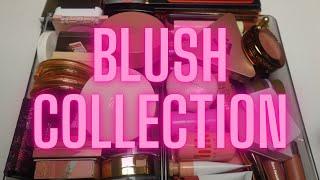 SWATCHING EVERY BLUSH IN MY COLLECTION (2024)