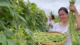 Farm To Table “Adobong Sitaw at Inihaw na Isda” Buhay Probinsya Leyte, Philippines 