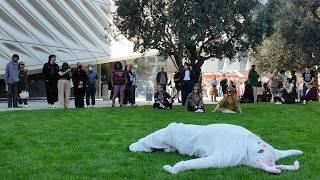 How To Explain Power To The Living, 2025 | Performance at The Broad Museum by Edgar Fabián Frías