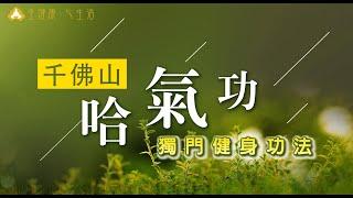 千佛山獨門健身功法—哈氣功