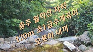  부동산  #전원주택용지 #펜션용지 #별장용지 #차박용지 #야영용지 #글렘핑장용지 ↪️ 이광규372  충주 월악산자락 초1급수계곡 120여m가 오롯이 내꺼 #충주공인중개사