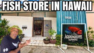 Secret Local Fish Store in HAWAII!