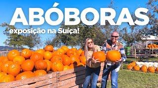 JUCKER FARM: visitamos uma exposição de ABÓBORAS, numa fazenda na SUÍÇA! 4k