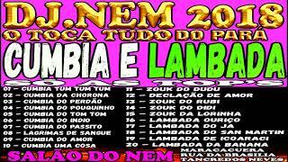 CD DE LAMBADA  CUMBIA DJ NEM DE ICOARACI