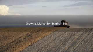 Soy-Driven Deforestation in Brazil: Which Countries, Sectors and Companies Source From the Cerrado?