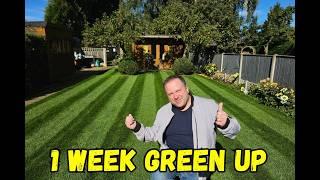 How I made my lawn Greener in 1 week