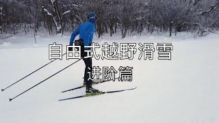 学习自由式越野滑雪--进阶篇  (Skate skiing for intermediate)