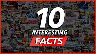 10 Interesting Things You Probably Didn't Know