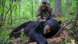 2016 Season | Great Big Mother of a Bear, Ontario Spring Black Bear