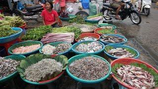 Cambodia Street Market - Fresh Vegetable, Meat, Fish, Crab, Snail & More Seafood @Sam Hanh