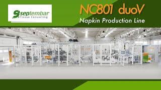 Napkin Production Line DUO V P4