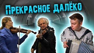 Прекрасное далеко (Live) - Андрей Данской (баян) | Скрипичный дуэт (Андрей и Эльмира)