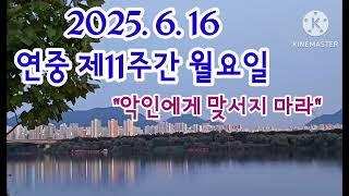 오늘미사《2025.6.16 연중제11주간 월요일》매일미사/복음묵상/강론