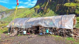 Himalayan Village Life | Dolpa | Nepal | Yarsagumba Hunter | Village Food Cooking | Real Nepali Life