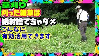 【草刈り】刈った雑草はすてちゃダメ!! 再活用で日照り続きを乗り切ろう