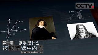 《被数学选中的人》第1集 Chosen By Mathematics EP1 提起数学 你会想到什么？加减乘除 几何高数 还是上学时“被支配的恐惧”？【CCTV纪录】