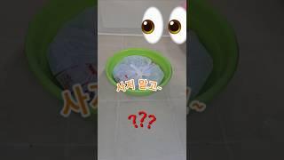 물때나 곰팡이 낀 욕실화 간편하게 세척하는 꿀팁 #욕실청소 #살림꿀팁