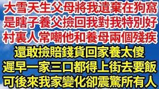 大雪天生父母將我遺棄在狗窩，是瞎子養父撿回我對我特別好，村裏人常嘲他和養母兩個殘疾，還敢撿賠錢貨回家養太傻，遲早一家三口都得上街去要飯，可後來我們家的變化卻震驚所有人||笑看人生情感生活