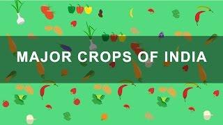 Major Crops of India - Rabi, Kharif, Zaid crops | Indian Agriculture, Geography