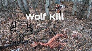 Wolf Kill