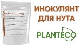 Инокулянт для нута Planteco® Клубеньковые бактерии Mesorhizobium ciceri. Бактерии для нута.