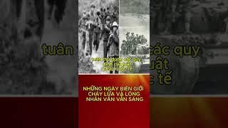 Lịch Sử Dân Tộc | Biên giới 1979: Khi Hòa Bình Được Định Nghĩa Bằng Máu và Lòng Nhân Đạo