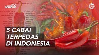 5 Cabai Terpedas di Indonesia - GNFI Semenit