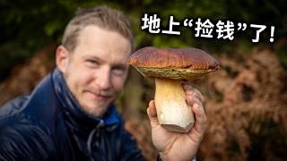 [ENG中文 SUB] MUSHROOM PICKING - I hope i will survive this!