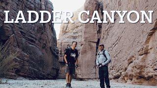 LADDER CANYON  |  PAINTED CANYON HIKE  |  4K  |  Nov 6, 2022