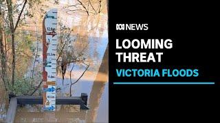 Victorian floods move towards Shepparton as Goulburn river peaks in Murchison | ABC News