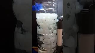 Aquarium top filter DIY | Fish tank filter DIY