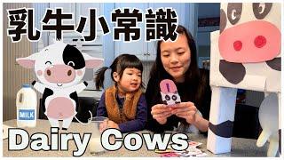 Dairy Cows & Where is milk from in Chinese? 親子共學: 乳牛  | 優質幼兒學習影片