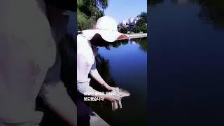 '먹방' 찍는 북한 유튜버?…확 달라진 북 체제 선전 #JTBC #상암동클라스 #Shorts