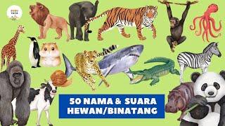 Belajar Mengenal Nama Hewan / Binatang dan Suaranya | Anak Paud TK Balita | Bubuyaya Official