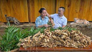 "Husband Loves All: Helping His Pregnant Wife Harvest Ginger & Go to the Market - Loving Happiness"